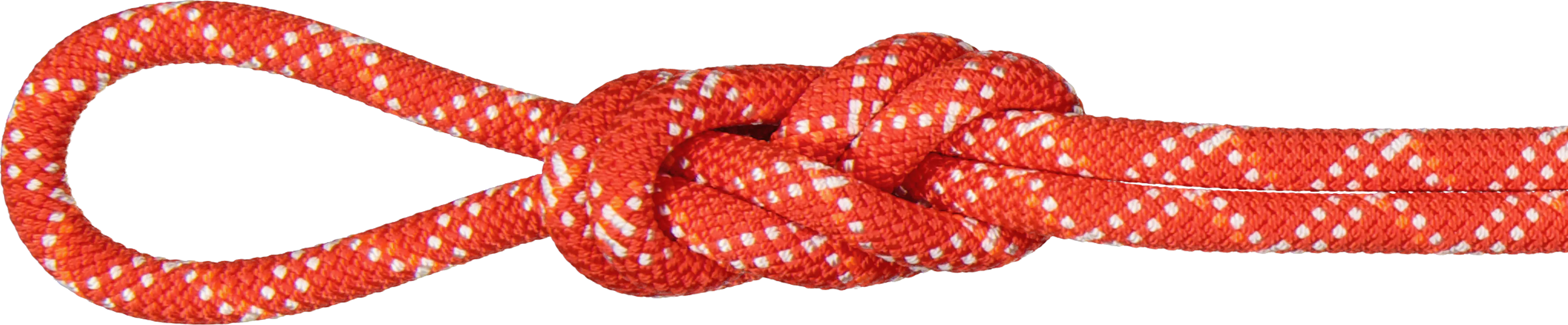 Mammut 9.5 Gym Classic Rope Classic Standard Raspberry-White | Buy Mammut 9.5 Gym Classic Rope Classic Standard Raspberry-White 