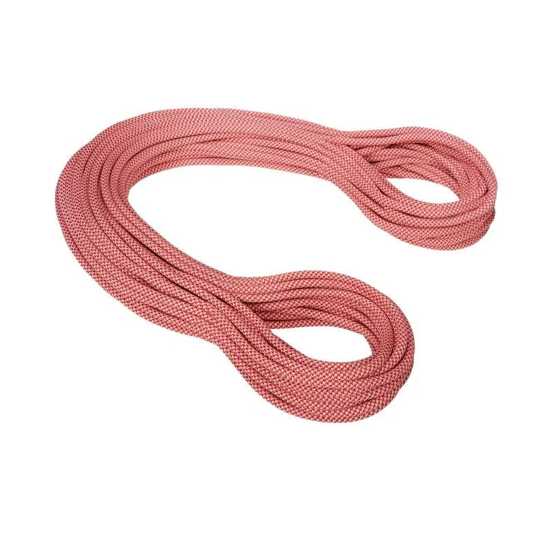 Mammut 9.8 Eternity Classic - Climbing Rope