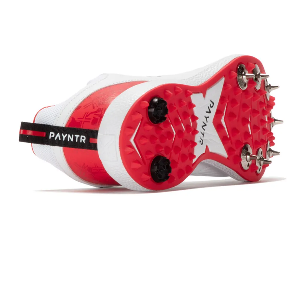 Payntr V Cricket Spikes - AW24