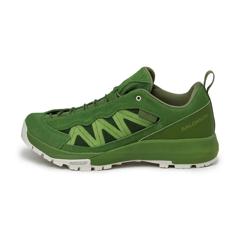 Salomon x Phileo Alpinway Sp2 Treetop / Icicle / Calla Green