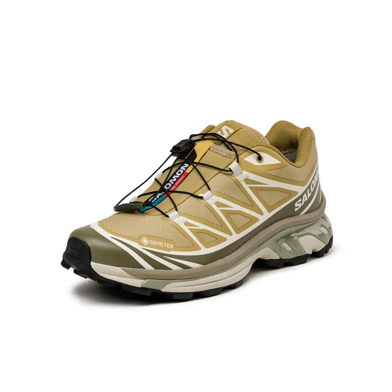 Salomon XT-6 GTX Antelope / Icicle / Portabella