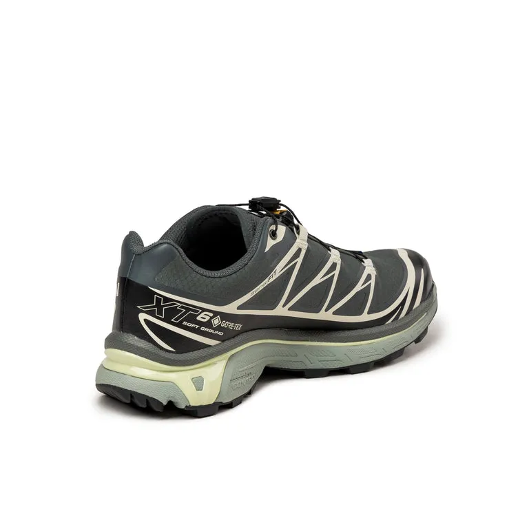 Salomon XT-6 GTX Urban Chic / Black / Lime Cream